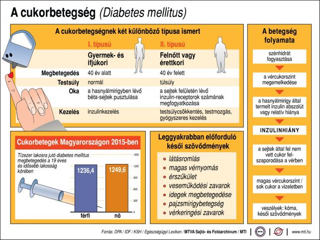 A cukorbetegség folyamata | MTI képarchivum - PROAKTIVdirekt Életmód magazin és hírek - proaktivdirekt.com