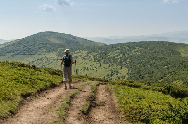 Nordic Walking - PROAKTIVdirekt Életmód magazin és hírek - proaktivdirekt.com