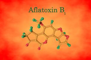 Aflatoxin B1 - PROAKTIVdirekt Életmód magazin és hírek - proaktivdirekt.com