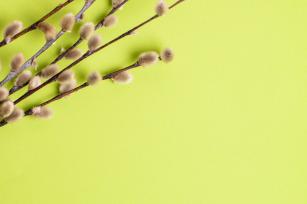 Barka Fotó: 123rf.com - PROAKTIVdirekt Életmód magazin és hírek - proaktivdirekt.com