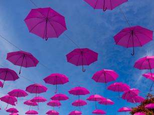 Rózsaszín esernyők - PROAKTIVdirekt Életmód magazin és hírek - proaktivdirekt.com